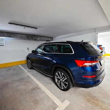 View * Белашница