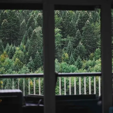 View Апартаменты