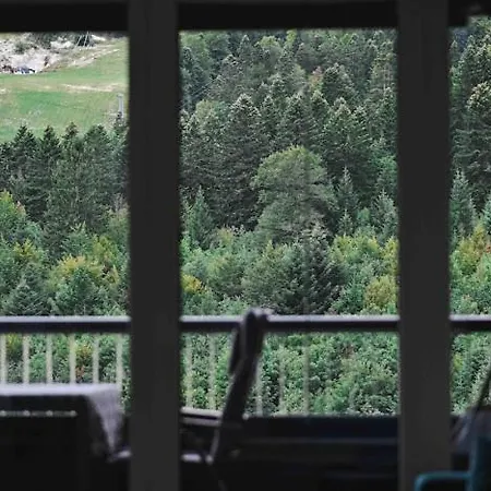 Апартаменты View *